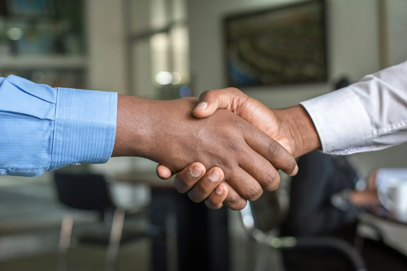 Two business people shaking hands